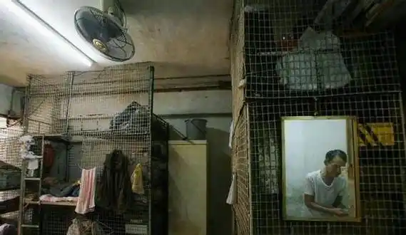 香港贫富差距的真相:穷孩子与富孩子之间的起跑线真的很残酷