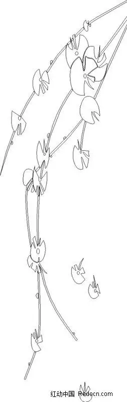 连理枝的简笔画