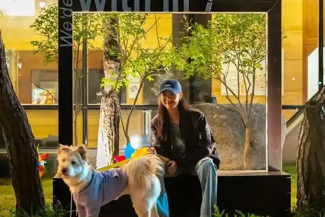 金高银近日ins更新日常生活照都充满了温柔舒服的感觉