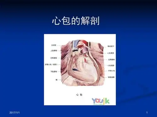 心包疾病大课__培训课件.ppt