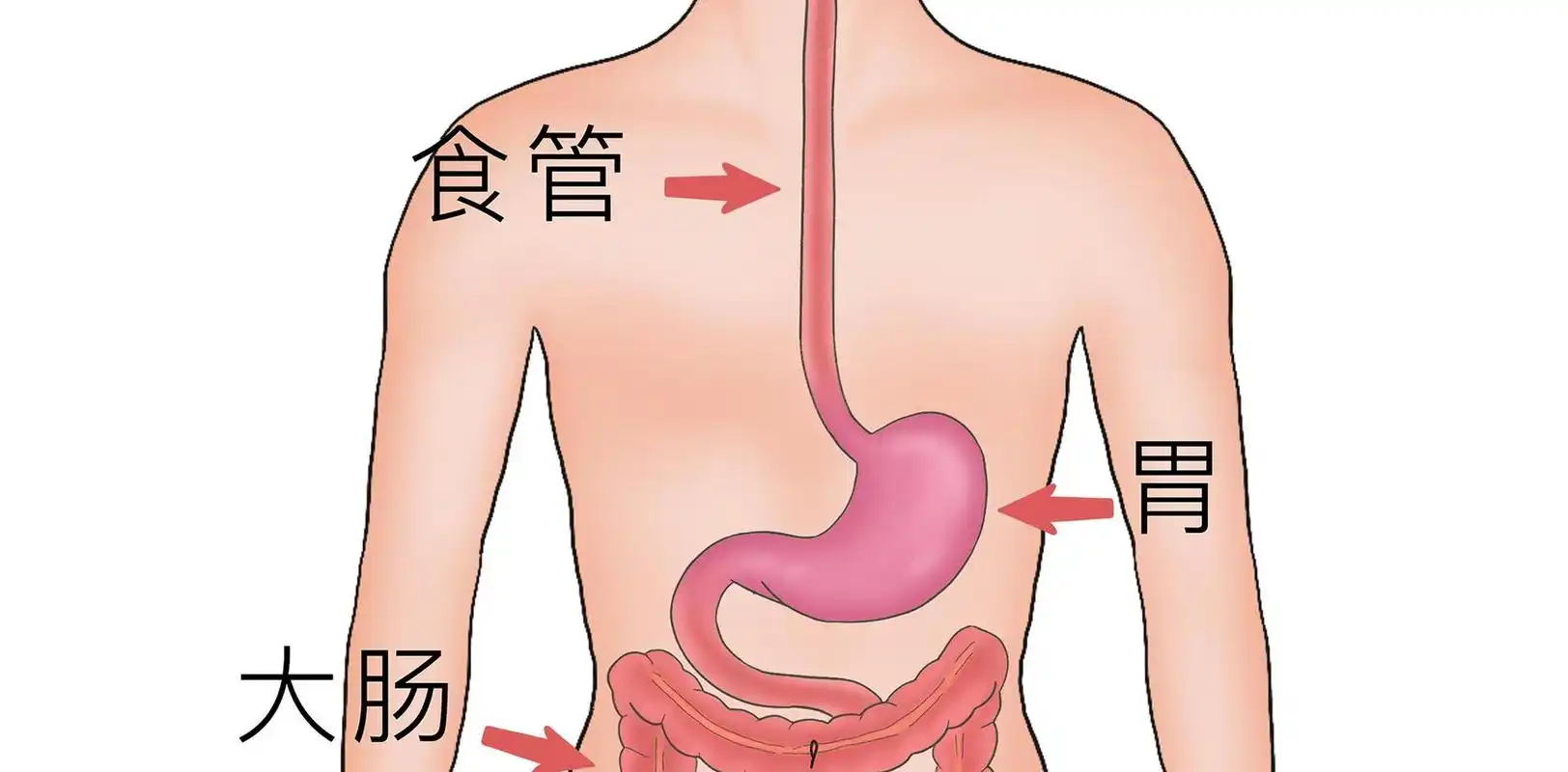 身体如果有这3种感觉要小心了,可能是食管癌的前兆 1,哽噎感,食管癌