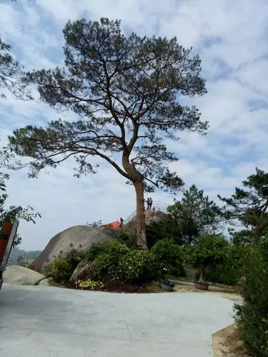 欢乐长泰龙凤谷.小黄山