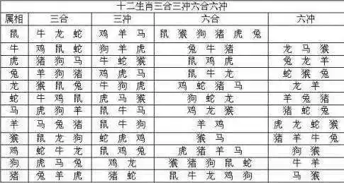 生肖属相排行表查询官网(生肖属相排行表查询官网网站)
