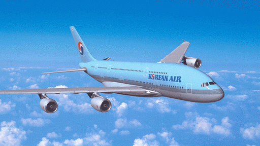 p>大韩航空株式会社(韩语:                         ,英语:korean