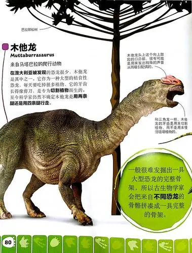 是不是有不少小朋友对这只恐龙为什么要叫这个名字很有疑问?