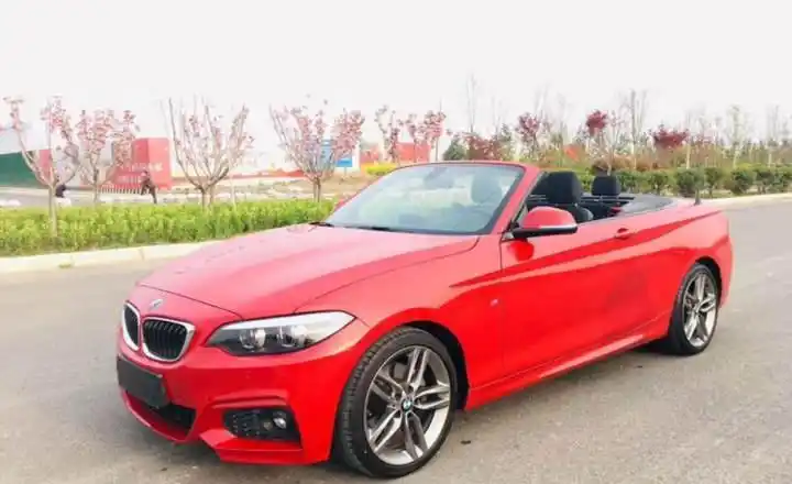 宝马2系 2018款 225i 敞篷轿跑车 m运动型