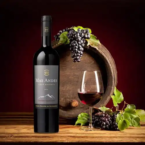 智利进口红酒罗斯柴尔德mad andes 玛安蒂格兰珍藏赤霞珠红葡萄酒