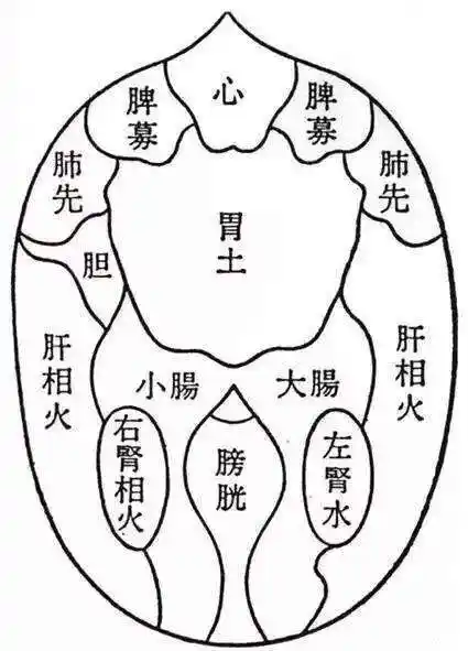 丹道功法小周天秘笈