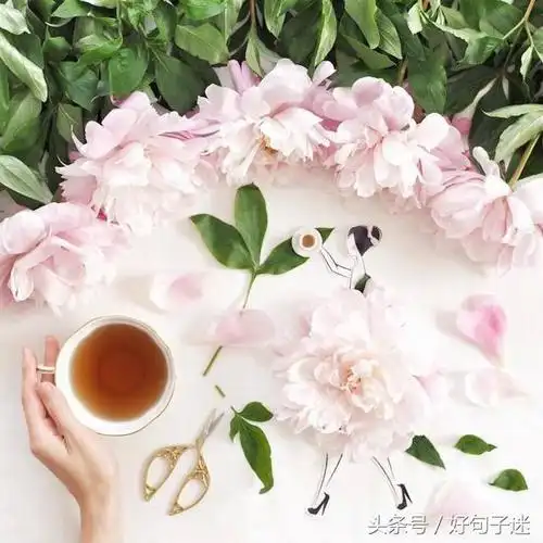 优美的,很有意境的句子 唯美的句子说说心情