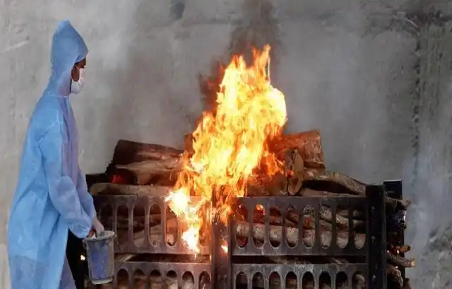 火化是否会影响到基因的延续?