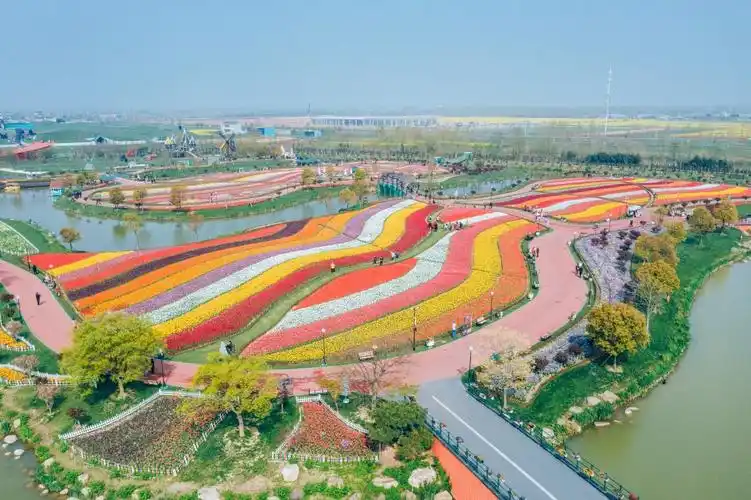 江苏盐城荷兰花海:跨越7000公里芬芳,解锁春光密码