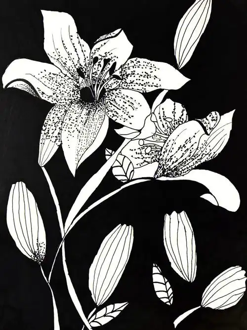 黑白线描花