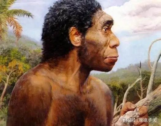 褪去毛发100万年后,人类穿上了衣服,是因为害羞?