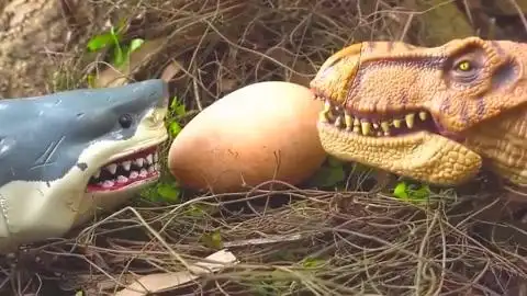 [少儿]恐龙玩具时代小霸王龙出生