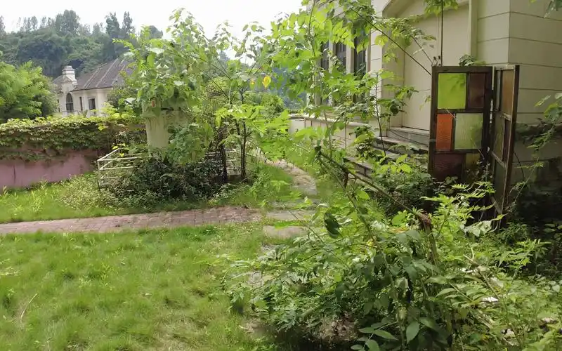 凡尔赛花园随拍-1