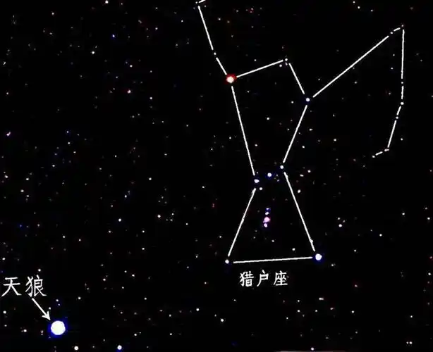 猎户座与天狼星