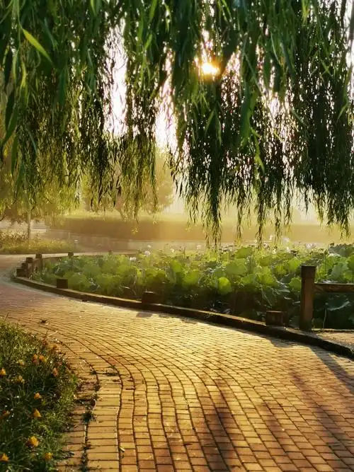 又见雨后天晴美景