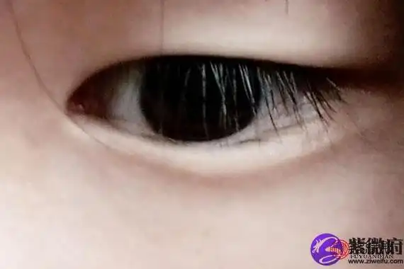 倒三角眼是什么样的