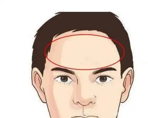 方形前额的面部特征是什么