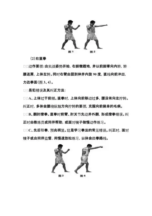 散打基本功之拳法