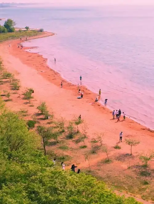 云南发现粉色沙滩,位于抚仙湖畔,怎么形成的是个谜!