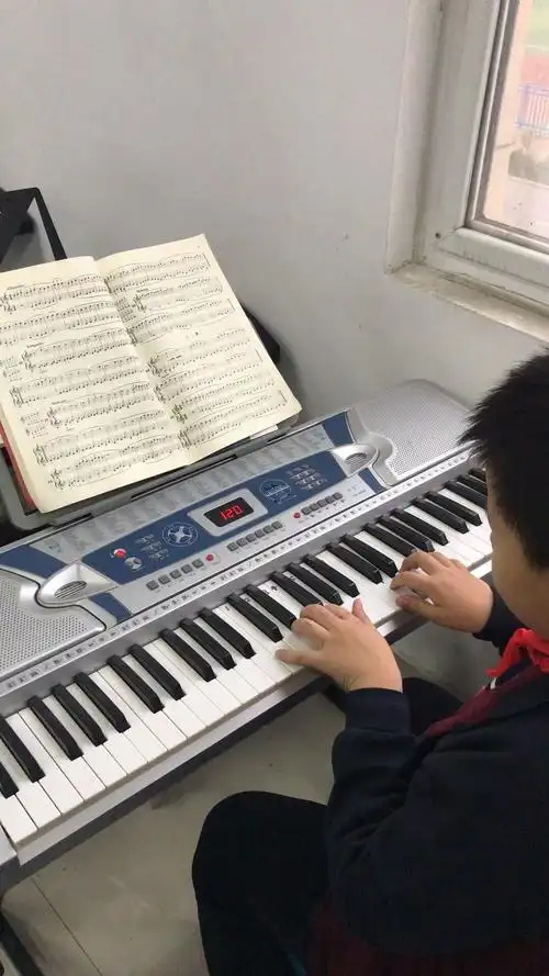 电子琴—多样化乐器