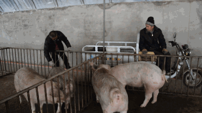 400_224gif 动态图 动图