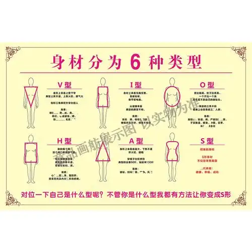 身材分为6种类型海报装饰画美容院s身材类型挂画身材分类广告贴纸