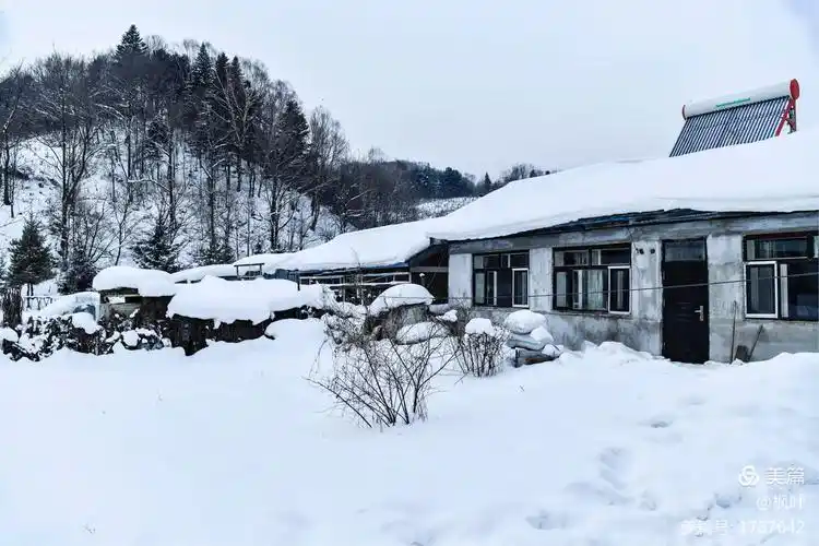 真正的东北乡村雪景