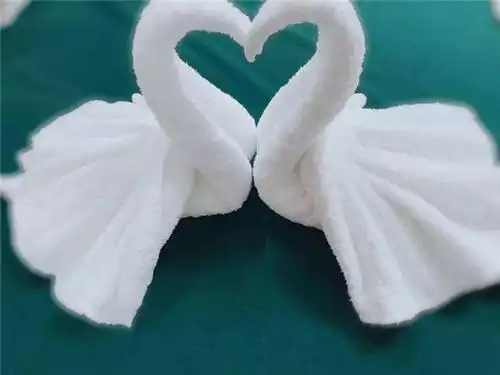 细节决定成败,如今优秀的酒店服务都是靠细节取胜,也许一条毛巾就