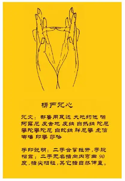 威力强大的除淫欲咒