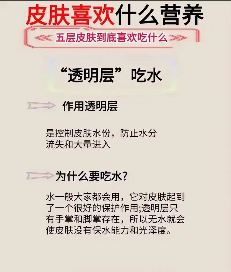 美容护肤 皮肤的认知 护肤小知识大全  - 抖音