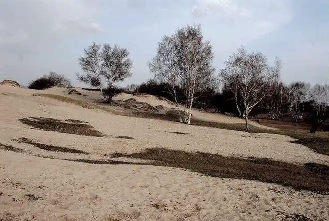 塞罕坝——荒原变林海的人间奇迹