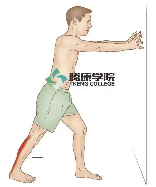 肌肉疗法小腿三头肌损伤