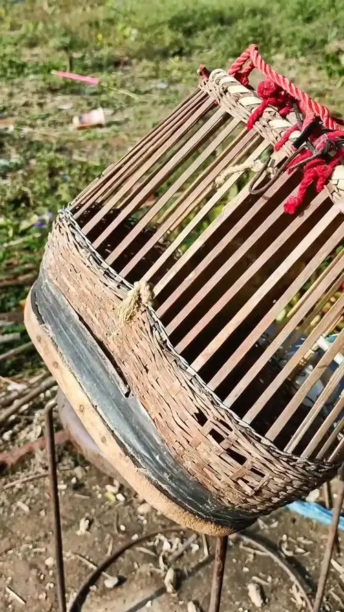 这样的双间老鹌鹑笼子我要不要做师傅做几个新的呢我的乡村生活返乡