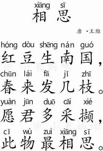 相思红豆,入骨相思君知否|带上孩子,跟着诗词游天下no.31