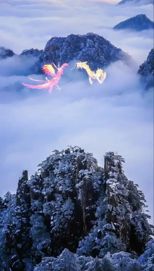 1080_1904竖版 竖屏