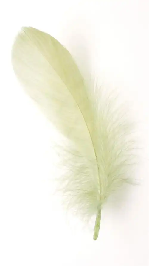 炫彩羽毛超无水印手机壁纸 第二辑,高清图片,手机锁屏桌面-壁纸族