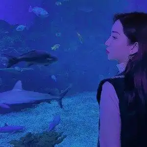 封锁我一生 (live) - 王子歆 - qq音乐-千万正版音乐海量无损曲库新歌