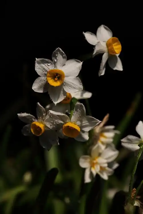 新手上路,请多包涵,指导!