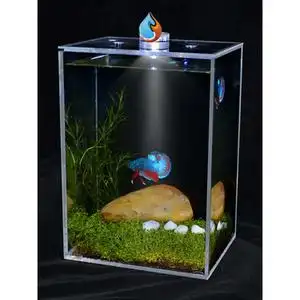 异形鱼缸小型图片