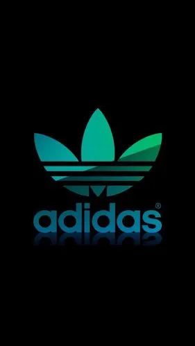 pidan|adidas