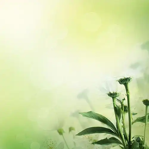 美丽鲜花背景边框背景素材免费下载(图片编号:5895813)-六图网