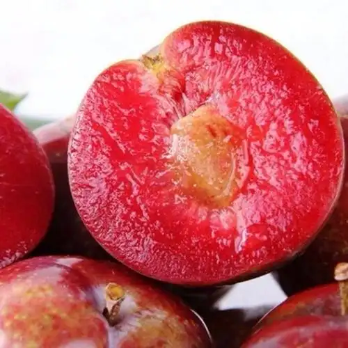 供应新鲜现摘新鲜应季水果酸甜口味 红李子