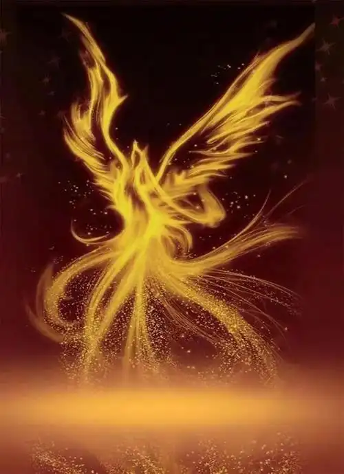 凤凰壁纸之凤舞九天
