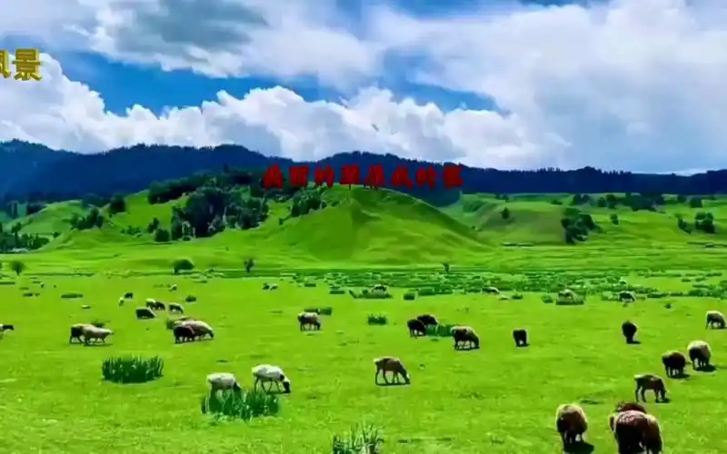 乌兰托娅《美丽的草原我的家》dj版 超级好听