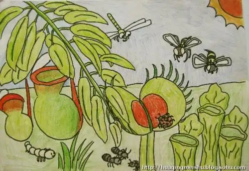 吃虫子的花简笔画
