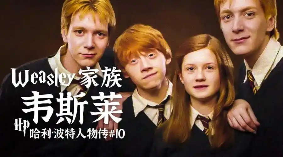 哈利波特#l莫扎金的微博视频67676767韦斯莱家族简史:梳理