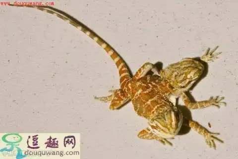 2018-2019年2018年香港马会资料大全,六合彩2018免费资料,彩民必备的