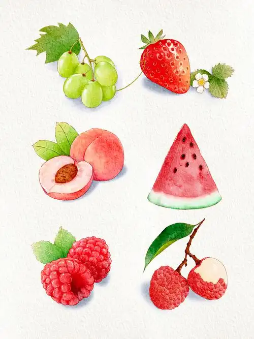ipad水彩插画--夏日水果合集
